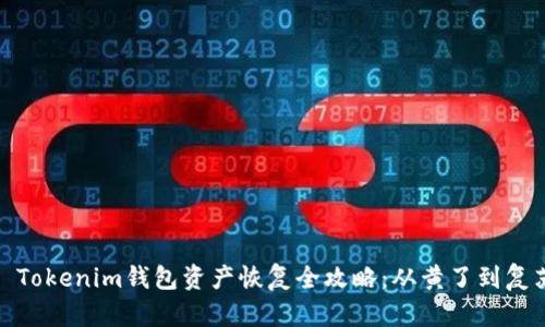 : Tokenim钱包资产恢复全攻略：从黄了到复苏