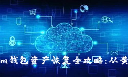: Tokenim钱包资产恢复全攻略：从黄了到复苏