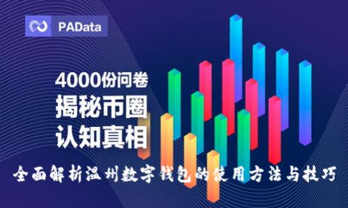 全面解析温州数字钱包的使用方法与技巧