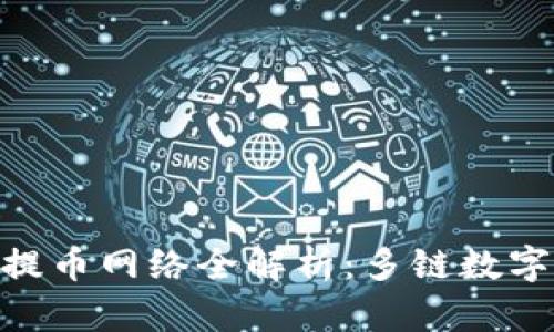 Tokenim支持的提币网络全解析：多链数字资产管理的未来