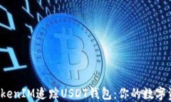  如何使用TokenIM追踪USDT钱