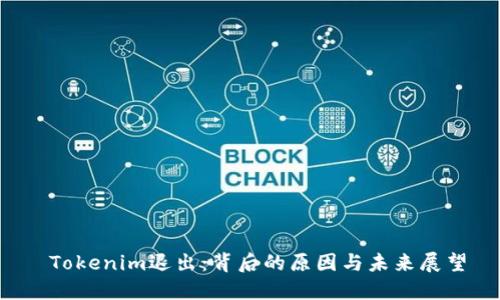  Tokenim退出：背后的原因与未来展望