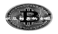 在这里，我可以为您提供
