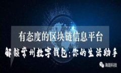 解锁常州数字钱包：你的