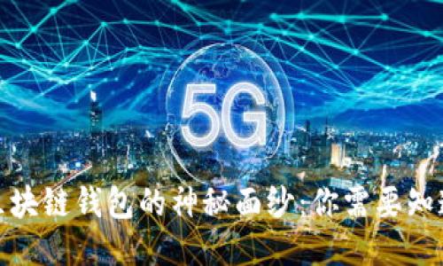 : 揭开区块链钱包的神秘面纱：你需要知道的一切
