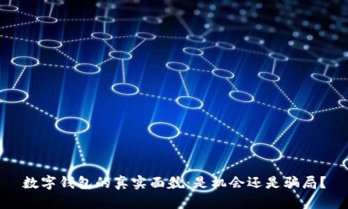 数字钱包的真实面貌：是机会还是骗局？