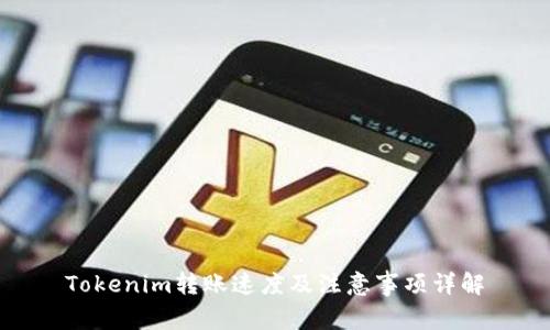 Tokenim转账速度及注意事项详解