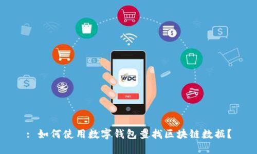 : 如何使用数字钱包查找区块链数据？