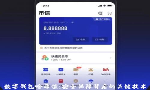 
数字钱包哈希值：安全保障背后的关键技术