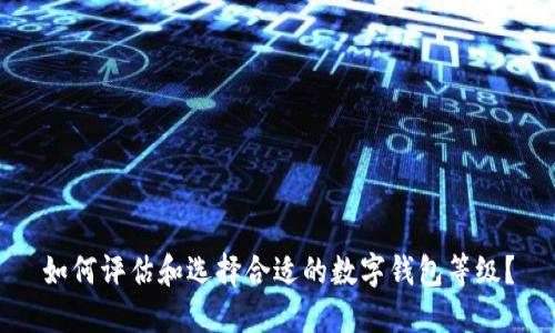 如何评估和选择合适的数字钱包等级？