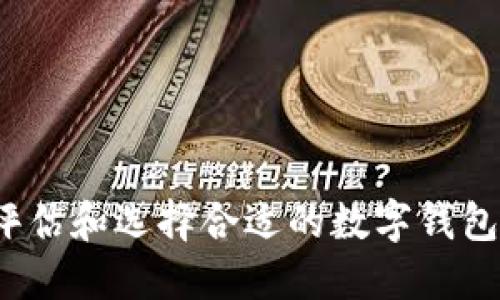 如何评估和选择合适的数字钱包等级？