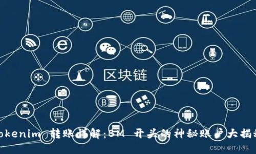 Tokenim 转账详解：BM 开头的神秘账户大揭秘