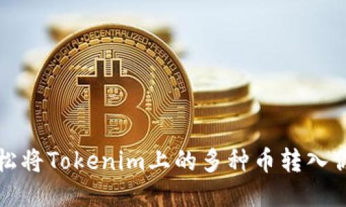 如何轻松将Tokenim上的多种币转入你的钱包