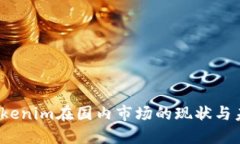 题目：Tokenim在国内市场的