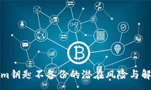 :

Tokenim钥匙不备份的潜在风险与解决方案