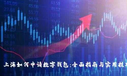 : 上海如何申请数字钱包：全面指南与实用技巧
