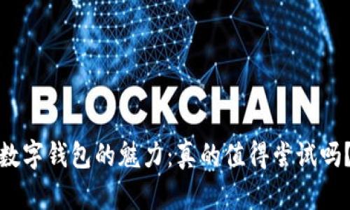 数字钱包的魅力：真的值得尝试吗？
