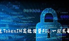 如何通过TokenIM高效借贷FIL：一站式解决方案